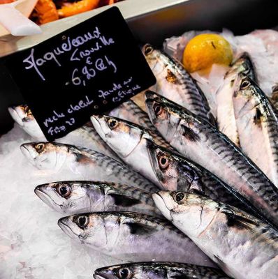 Picture of Mackerel Bangda Fish