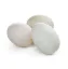 Picture of Duck Eggs