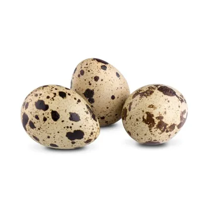 Picture of Quail Egg