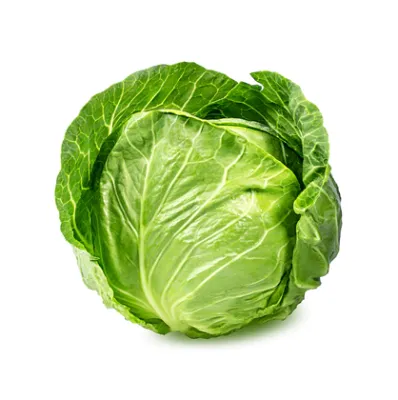 Picture of Cabbage, Green