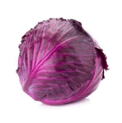 Picture of Cabbage, Red