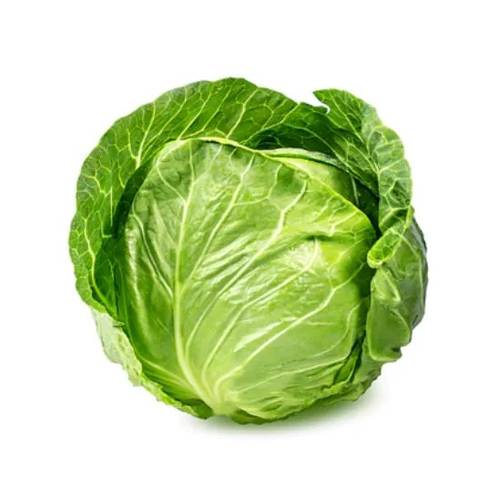 Picture of Cabbage, Red