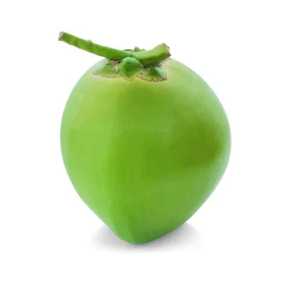 Picture of Coconut Green