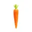 Picture of Carrot, Jumbo