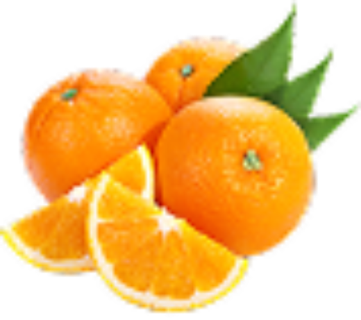 Picture of Fresh Lemon Exporter