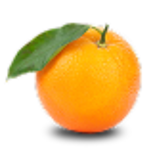 Picture of Fresh Lemon Exporter